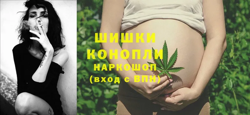 Канабис OG Kush  Прохладный 